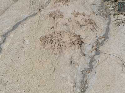 Non ci resta ora che salire a visitare il cratere pi� grande, dopo aver attraversato un terreno brulloso e fangoso